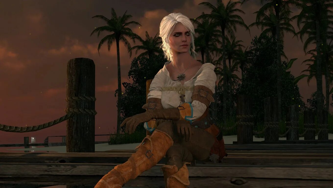 Witcher sfm. Цирилла фиона элен рианнон мод. цири фута. tekken цири. ведьмак sfm.