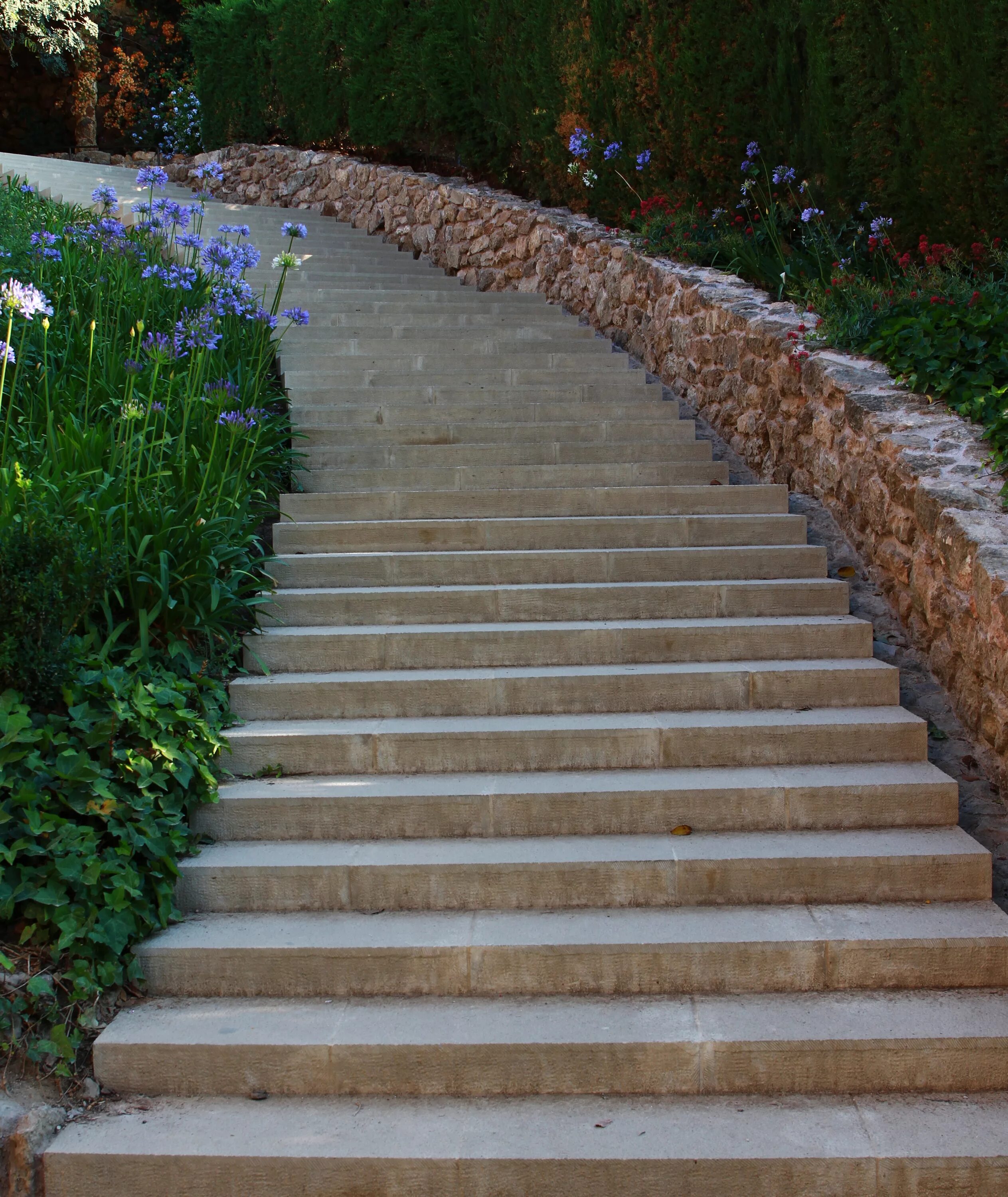 Первые шаги ступенька. Ступеньки в парке. Парковые дорожки. Лестница в парке. Ступени в парках.
