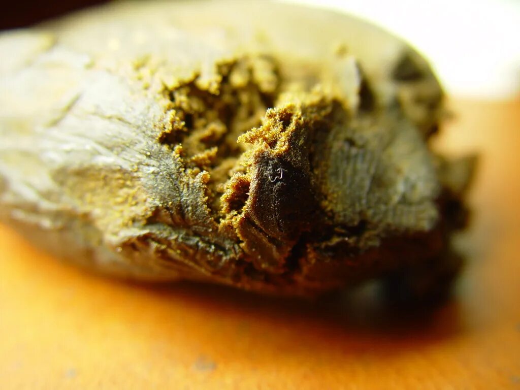 Must hash. Ice o lator гашиш евро. Musthave undercoal табак эстрагон. Must hash. Прессованная марихуана.