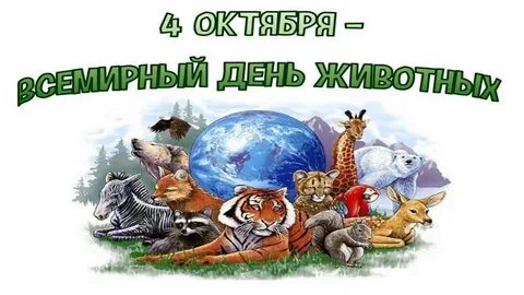 День защиты животных классный час 5 класс