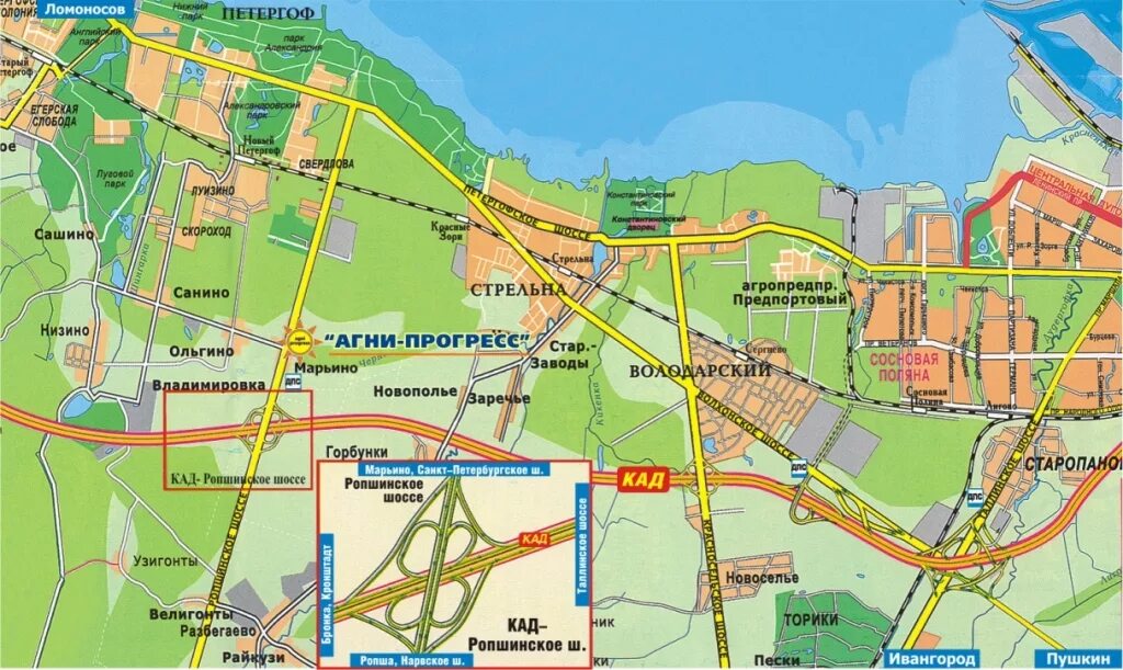 стрельна санкт петербург расписание