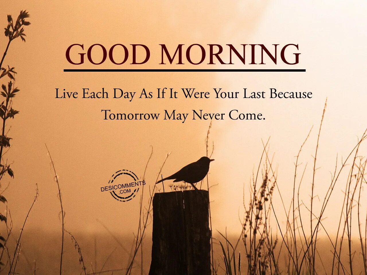 Live each. Good morning с афоризмами. Good morning папа. Good Day цитаты на английском. Гуд Монинг цитата на русском.