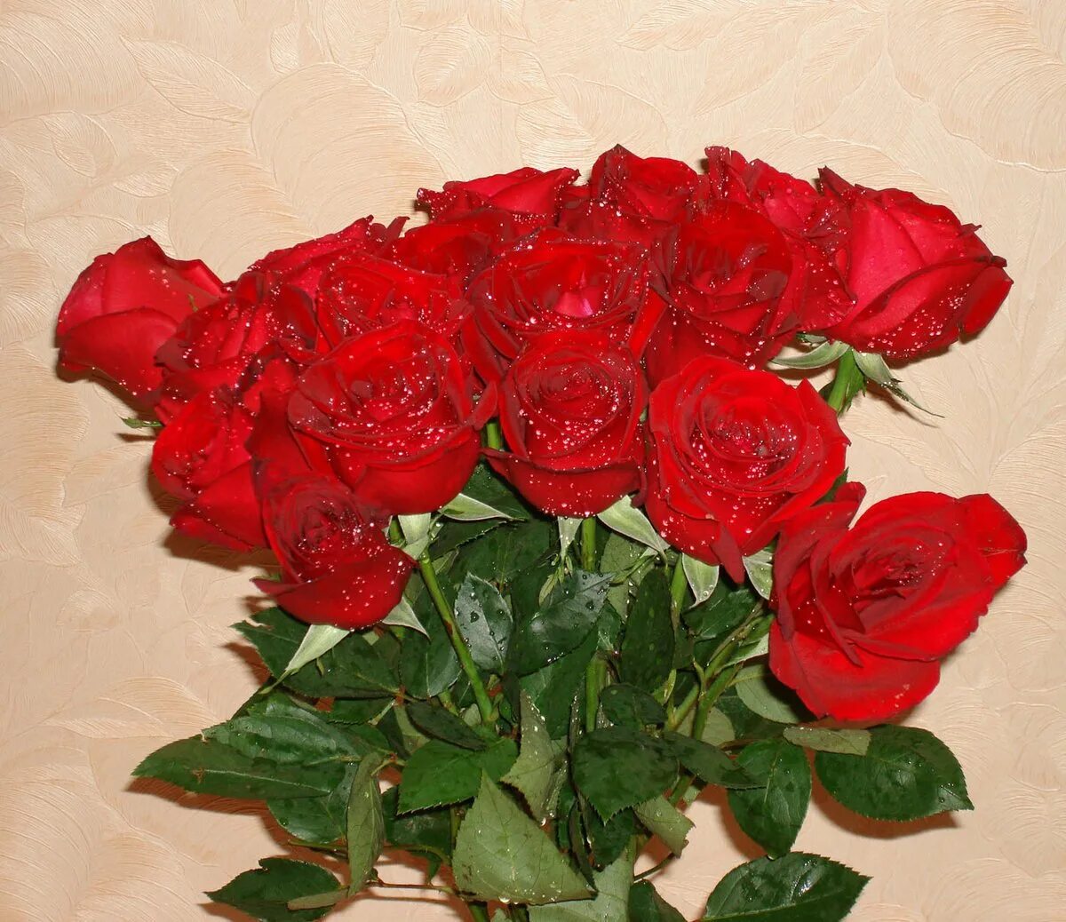 Шикарный букет роз. Красивый букет алых роз. Букет красных роз. Шикарние букет алых роз.