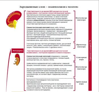 Хаммер таблица психосоматики