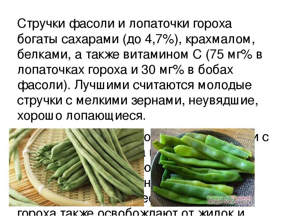 Можно ли есть стручковую