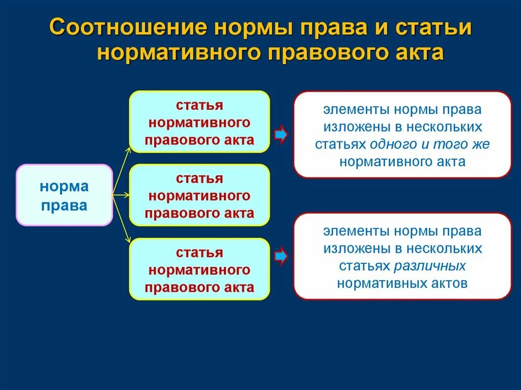 Элементы статьи нормативного акта