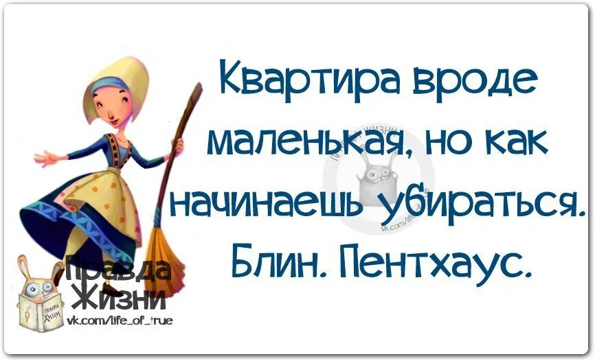 Вроде не маленький. Смешные цитаты про уборку. Цитаты про уборку. Приколы про уборку в доме. Шутки про уборку.