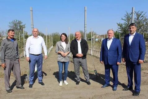 Карачаево черкесская сельское хозяйство