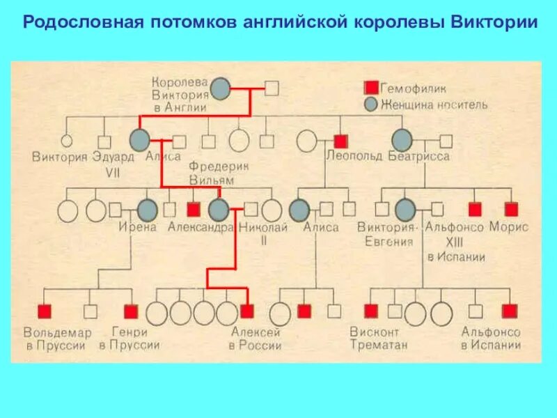 Генеалогическое Древо Виктории королевы Англии. Родословная английской королевы Виктории. Родословное Древо королевы Виктории.