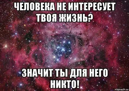 Чем она интересуется что