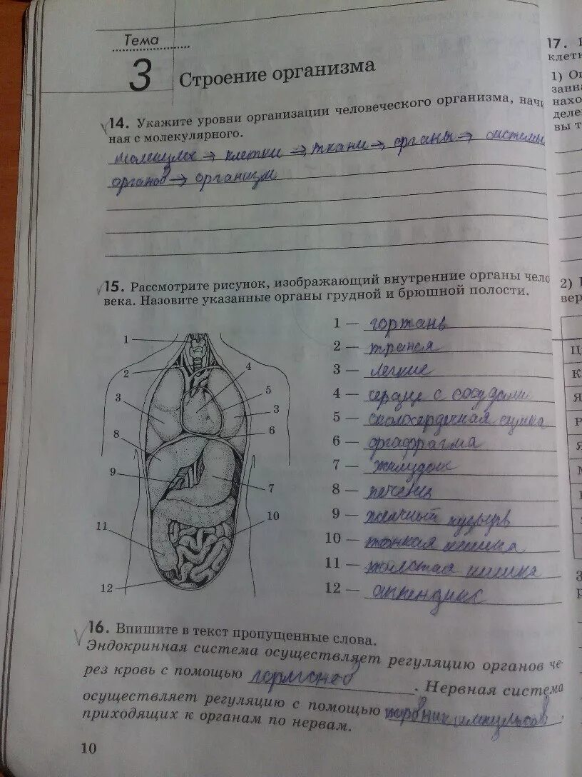 Измерительные по биологии 8 класс. Гдз по биологии. Задания по биологии 8 класс. Биология 8 класс тетрадь. Домашнее задание по биологии 8 класс.