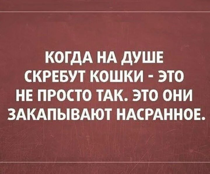 Когда на душе кошки скребут. Скребут на душе. Кошка в душе. Если на душе скребут кошки.