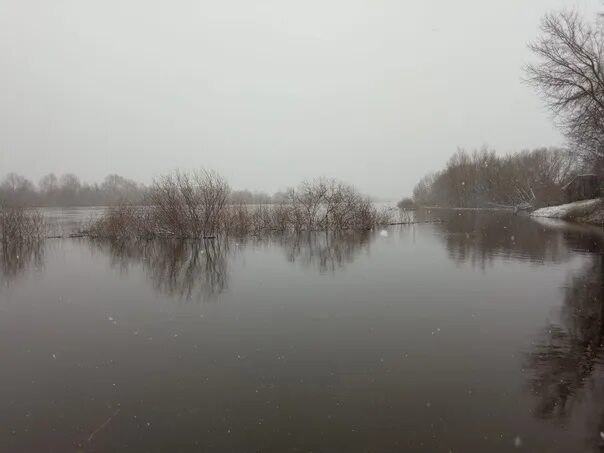 Уровень воды смоленск сож. Апрель разлив реки. График, весенний паводок 2023 р.Ока Коломна. Уровень воды в реке СОЖ.