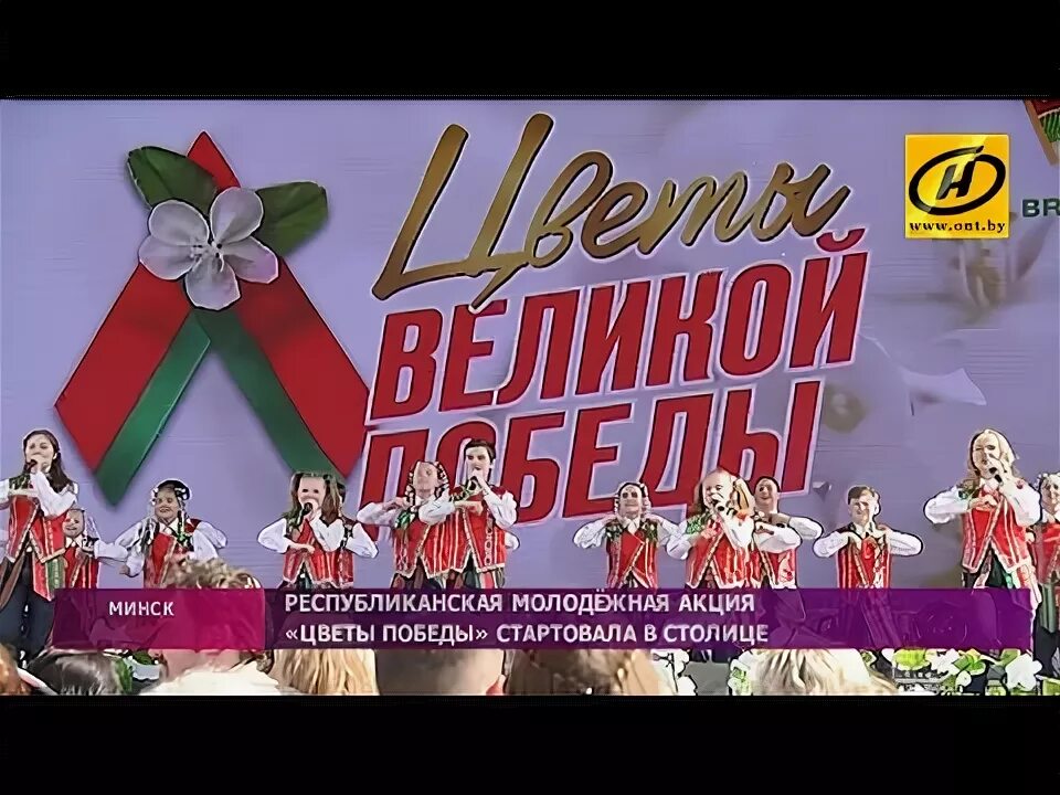 Букет цветов с днем победы. Цветы ветеранам. Песня цветы победы дарит. Букет для ветерана. Гвоздики символ победы.