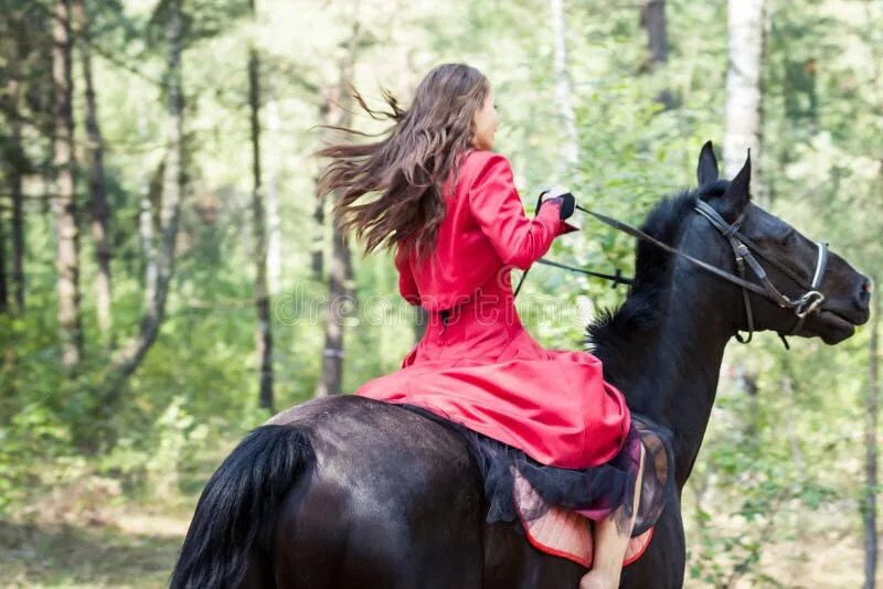 Брюнетка скачет. Брюнетка верхом на лошади. Девушка на коне. Девушка верхом на лошади со спины. Брюнетка сидит на лошади.