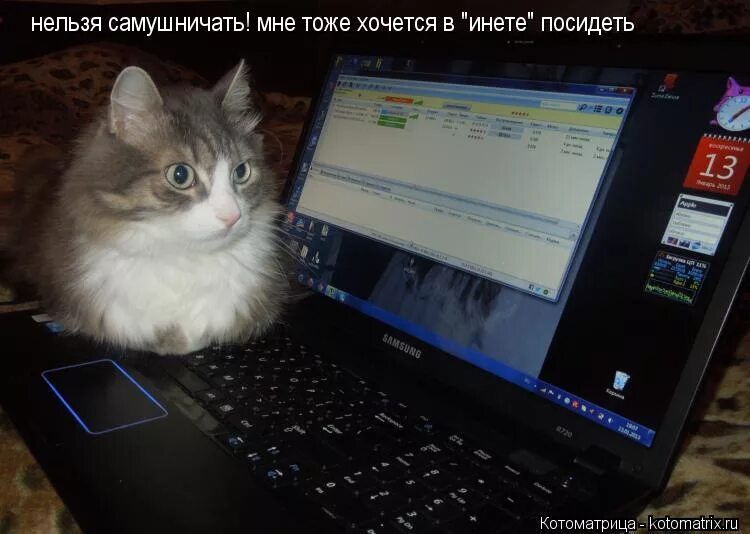 включи компьютер я хочу. включи компьютер я хочу. это мне для учебы компьютер. мам мне нужен комп для учебы. шутки про пк.