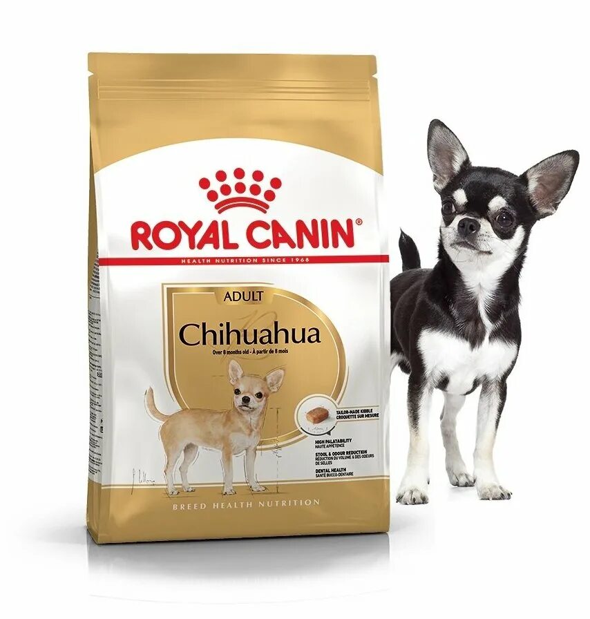 Роял канин для чихуахуа 1. Royal canin chihuahua adult корм для чихуахуа. 5 кг. Какой сухой корм для чихуахуа. 5 кг) chihuahua adult.