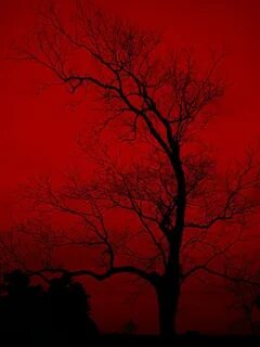 Shadow of red