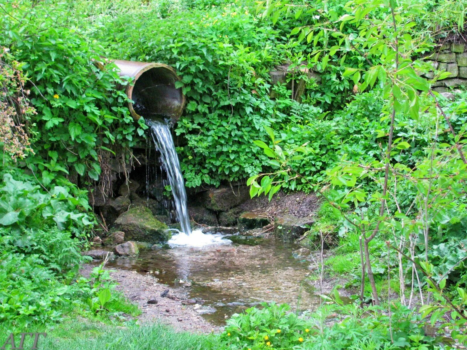 родник золотой ключик горный алтай. родник родничок. родник в удмуртии. начало родника. водопад радужный на реке нара.
