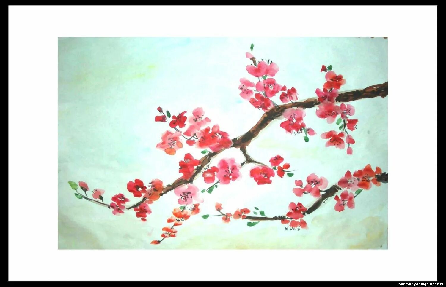 Ветка Сакуры изо. Рисование ветки цветущей Сакуры". Рисование Сакура для детей. Веточка Сакуры поэтапное рисование.