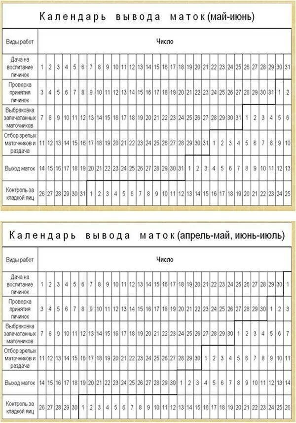 Выход матки из маточника через сколько