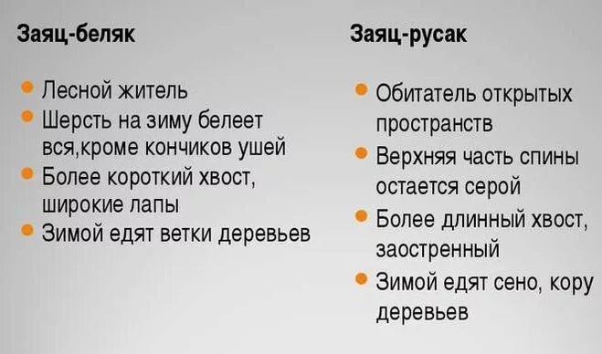 Зеленые рассказы беляк и русак. Заяц-Беляк и заяц-Русак сходства и различия. Сходство и отличие зайца беляка и зайца русака. Сравнение зайца беляка и зайца русака 2 класс. Сходство зайца-беляка и зайца-русака сходство и различия.