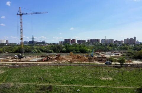 Митино отзывы