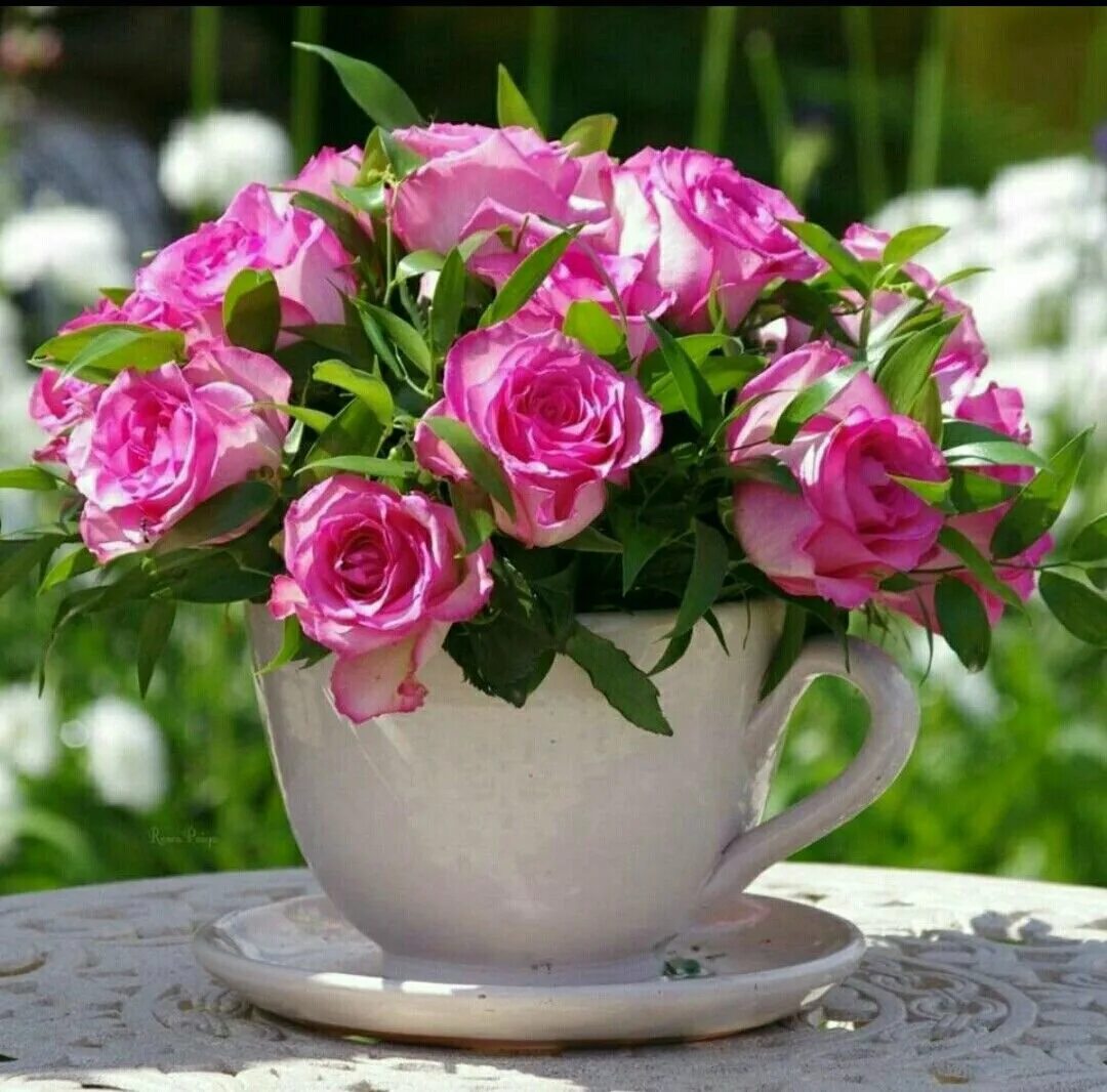 Доброе утро розы надписи. Утренние цветы. С добрым утром цветы красивые. Доброе утро с цветами. Открытки с добрым утром с розами.