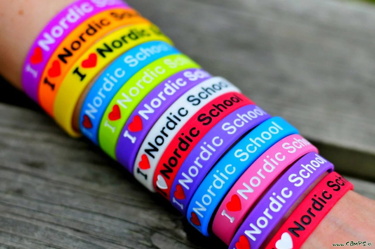 Nordic school logo png. нордик скул. нордик скул. фотографию лагеря нордик скул. нордик скул логотип.