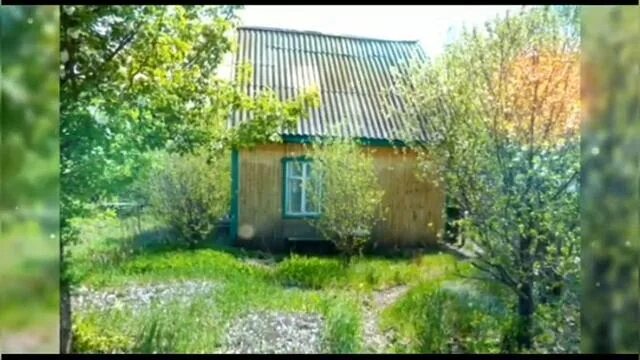 о дачных садоводческих. красивый огород. деревня лисицы тверская область. снт в россии. дом с огородом.