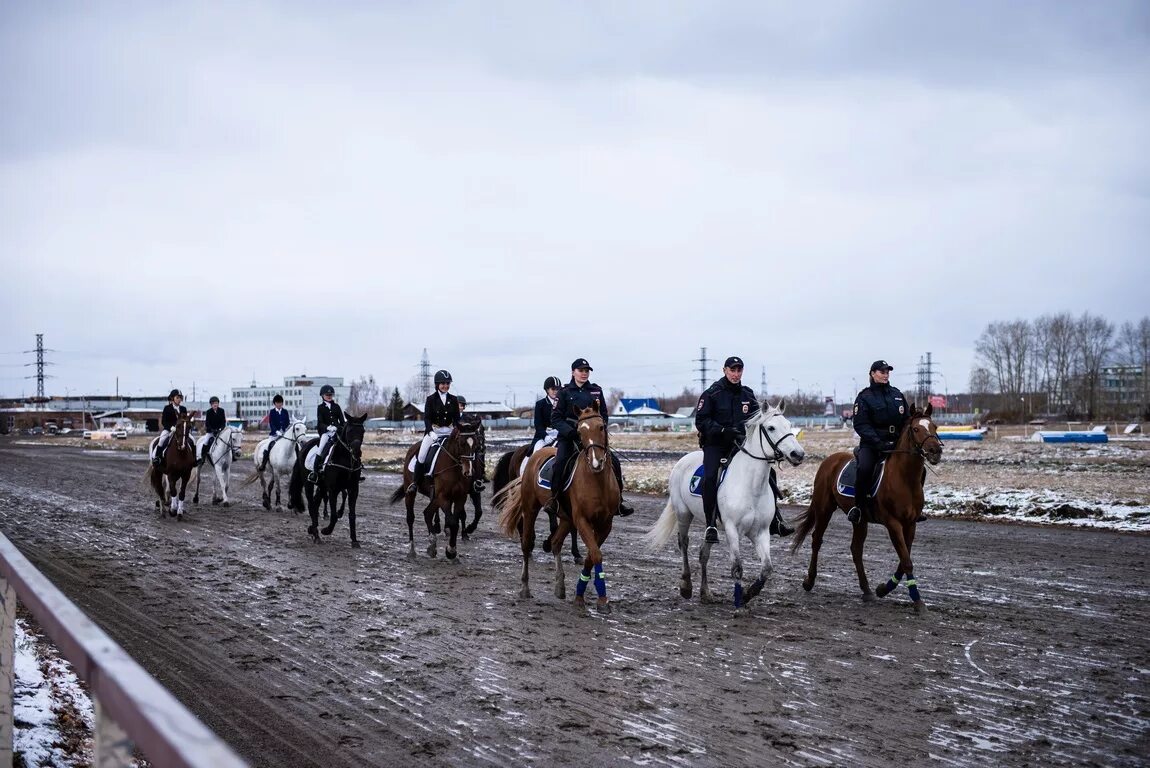 новосибирск главный ипподром на сегодня