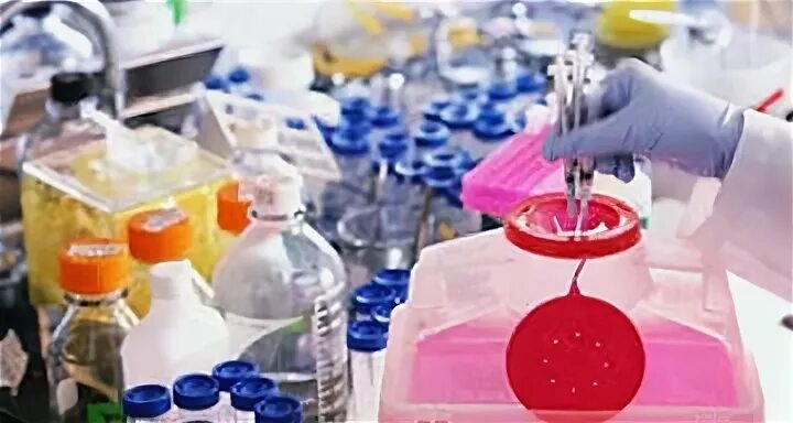 органические операционные отходы органы ткани. класс в чрезвычайно эпидемиологически опасные отходы. отходы лабораторий работающих с микроорганизмами. отходы микробиологических лабораторий. биокад лаборатория.