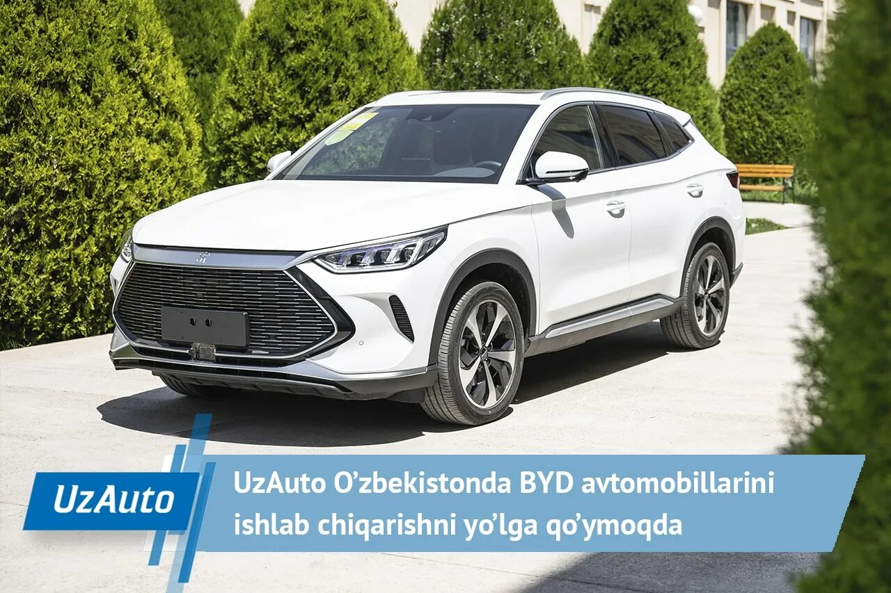Byd uzbekistan. Byd 2023. Byd в узбекистане. Byd в узбекистане. Byd chazor 05 dmi (гибрид).