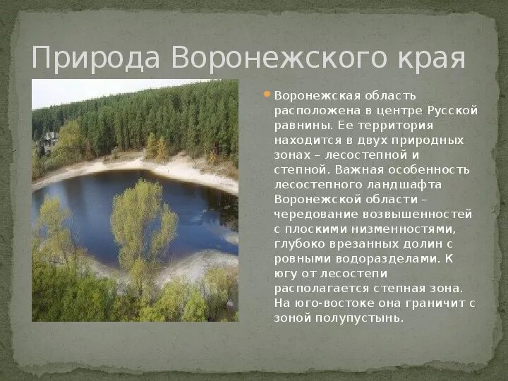 Статья про край. Разнообразие природы Воронежского края. Природа Воронежского края презентация. Природа родного края Воронеж. Описание природы Воронежского края.