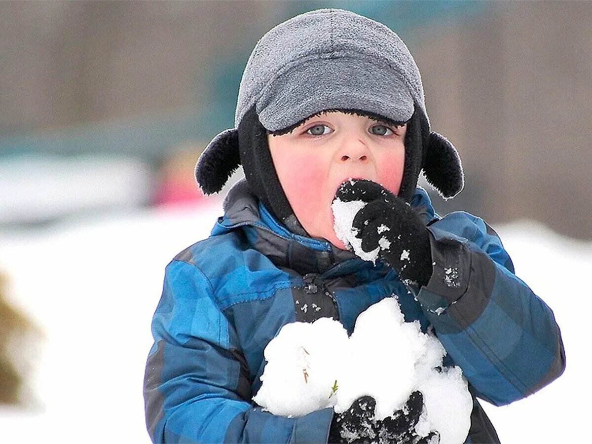 Дети зимой. Ребенок ест снег. Ест снег. Мальчик ест снег.