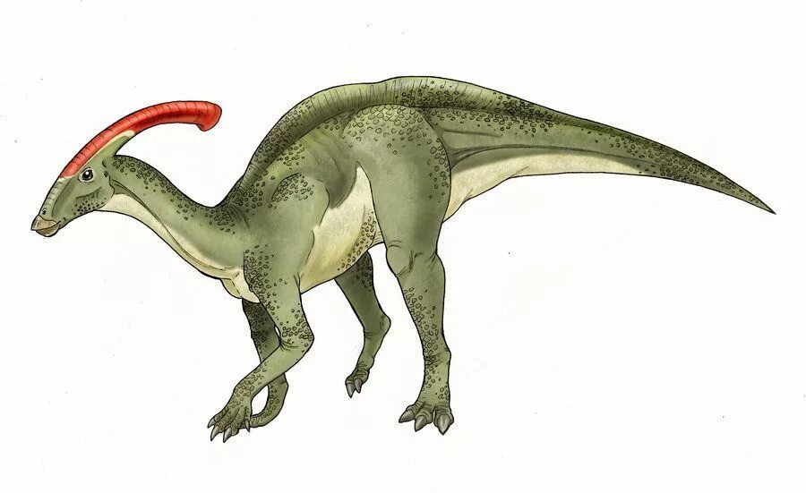 Диностер про динозавров. Parasaurolophus walkeri. Паразауролоф Бермуда. Jurassic Park Parasaurolophus. Зауролоф и Паразауролоф.