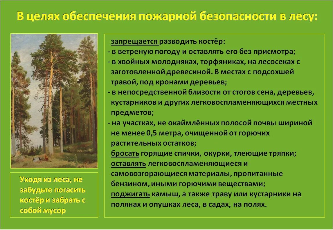 Пожарная безопасность в лесу. Пожарная безопасность в лесу памятка. Соблюдение правил пожарной безопасности в лесах. Памятка правила пожарной безопасности в лесу. Правил пожарной безопасности в лесах 2020