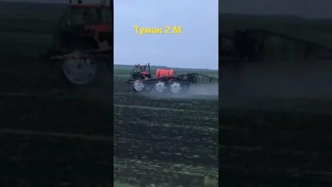 Включи туман