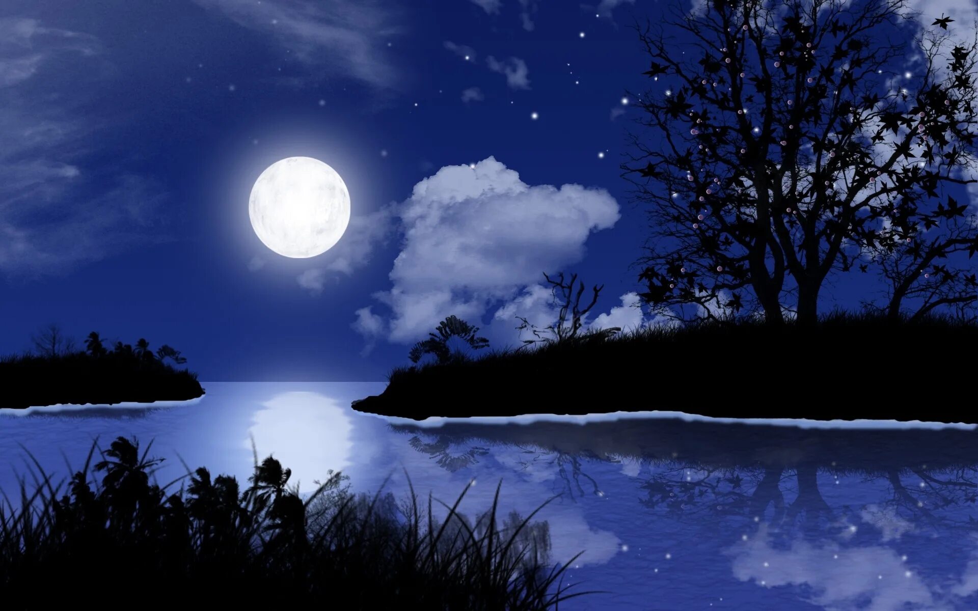 Лунная ночь. Красивые ночные пейзажи. Пейзаж с луной. Светлая ночь.
