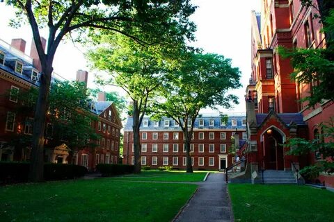 Harvard university cambridge massachusetts