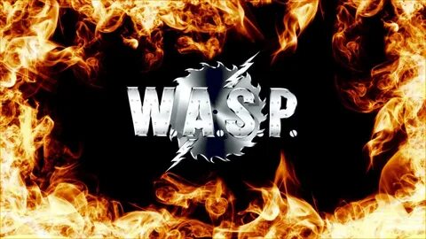 WASP Wallpapers.