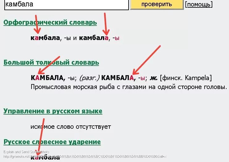 Как правильно поставить ударение в слове камбала. Камбала ударение правильное. Куда падает ударение в слове камбала. Ударение в слове камбала как правильно поставить ударение.