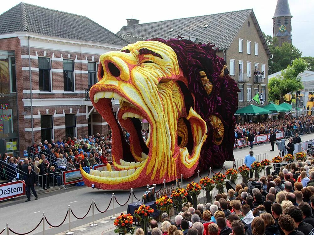 Зарубежные праздники. Фестиваль цветов Bloemencorso в Голландии. Парад цветов Bloemencorso в Голландии. Блюменкорсо в Голландии. Грот-Зюндерт.