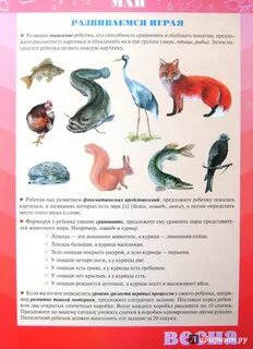 Работа с родителями май старшая группа