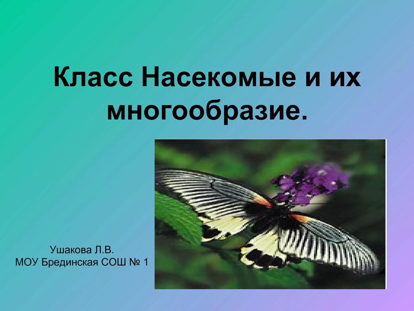 Насекомые это 2 класс. Отряды насекомых 7 класс. Класс насекомые картинки.