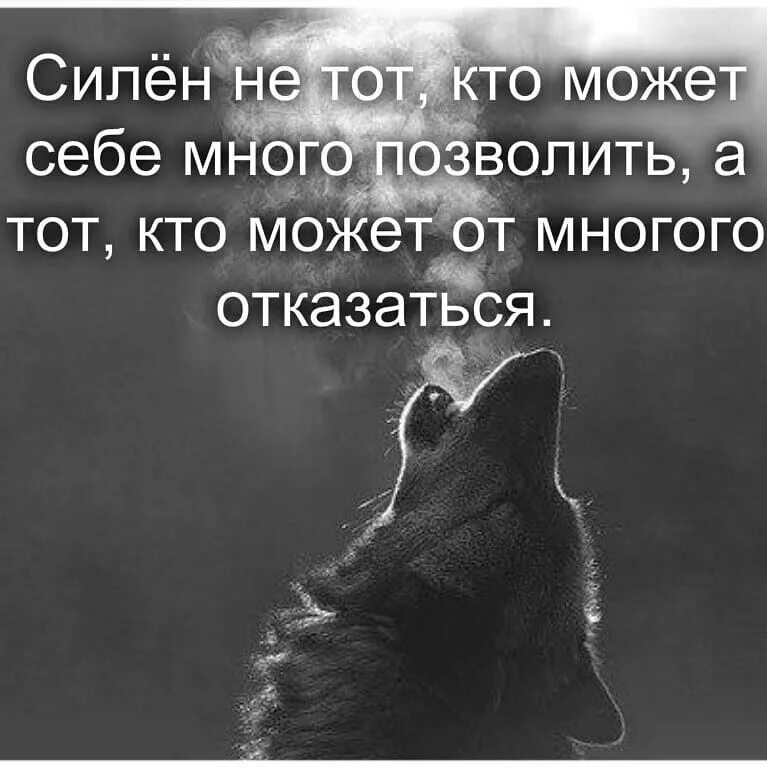 Отказалась от много чего. Силён не тот кто. сильный не тот кто. силен не тот кто может многое себе позволить. силён не тот кто может себе много позволить а кто.
