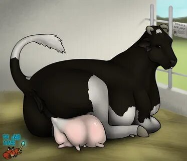 Calf Beastiality.