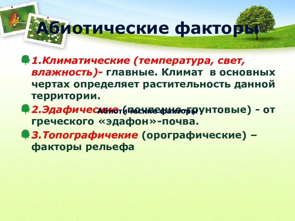 Абиотические факторы свет температура влажность. Абиотические факторы свет температура влажность. Экологические факторы раздражители. Экологические факторы в озере. Климатические факторы экология.