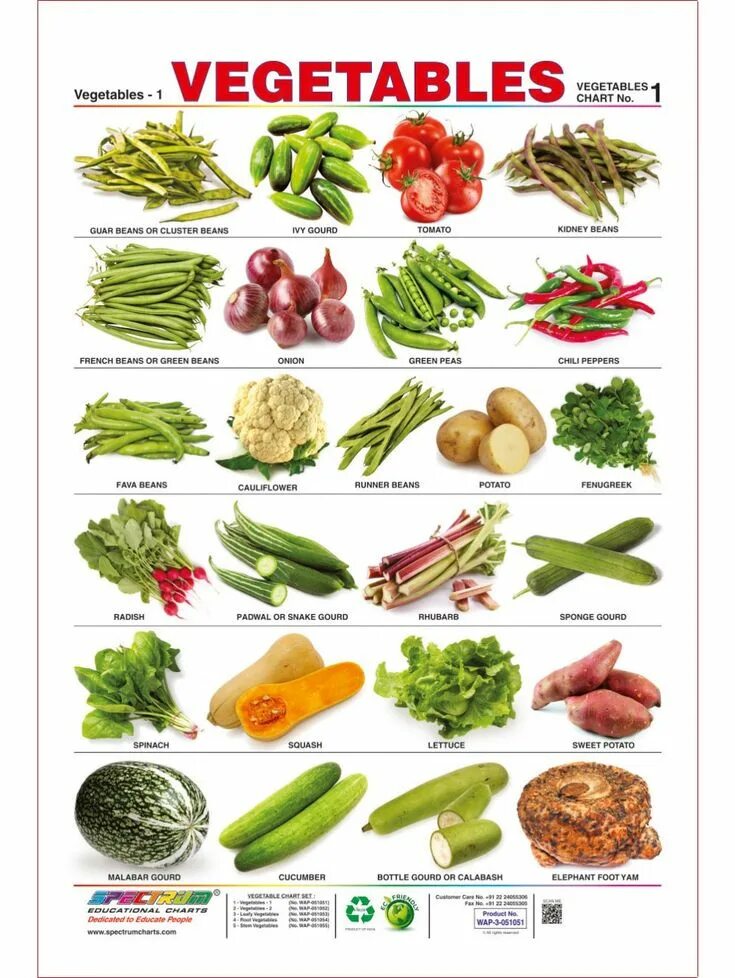 Vegetables list. Овощи на английском. Овощи на английском языке для детей. Kinds of Vegetables. Плакат овощи на английском.