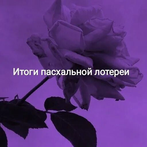 будь в тренде. тимати и егор крид где ты где я. твоя футболка сухая и совсем не пахнет прикол. будь в тренде надпись. дорогой где ты был прикол.